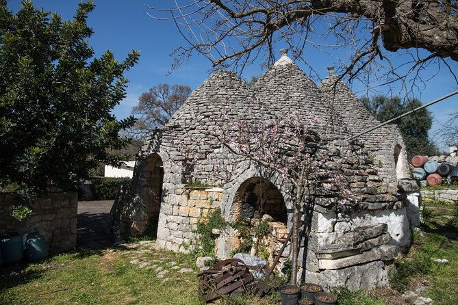 e-bike-tour-in-locorotondo-oil-mill-visit-and-evo-oil-tasting