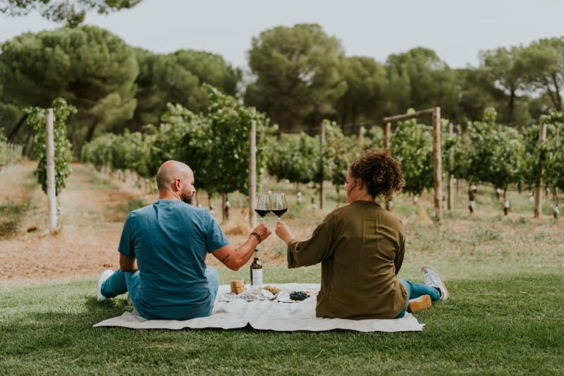 e-bike-tour-picnic-in-an-exclusive-winery-estate