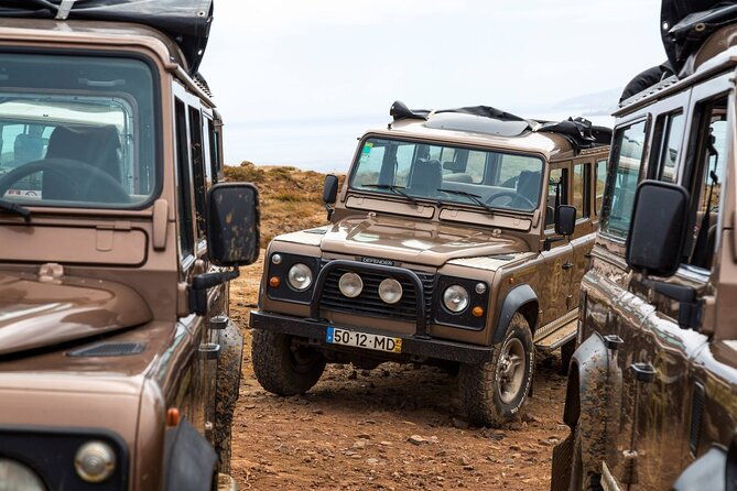 eastern-madeira-sustainable-tour-in-a-4x4-with-lunch