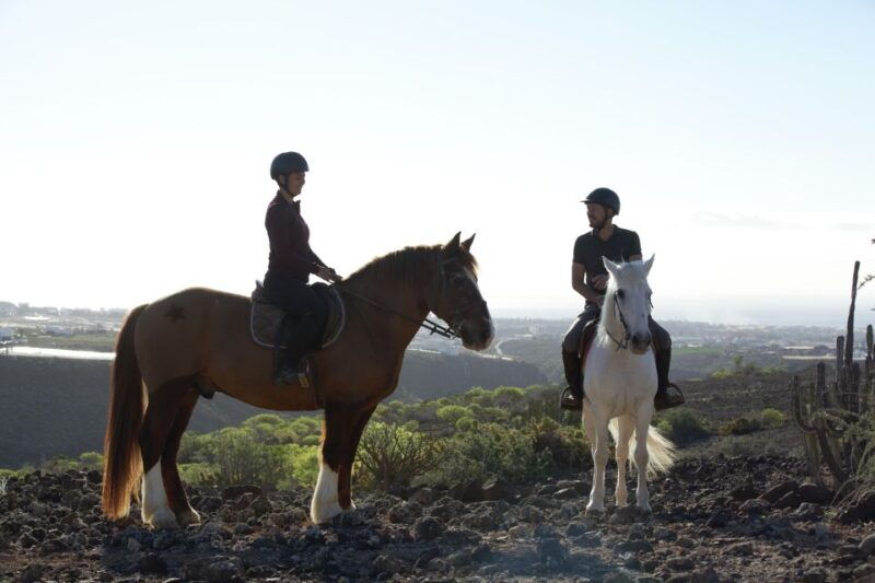 el-salobre-horse-riding-adventure-with-transfer-options