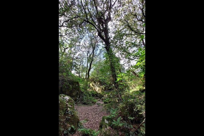 enchanted-forest-hike-and-wine-tasting-private-tour