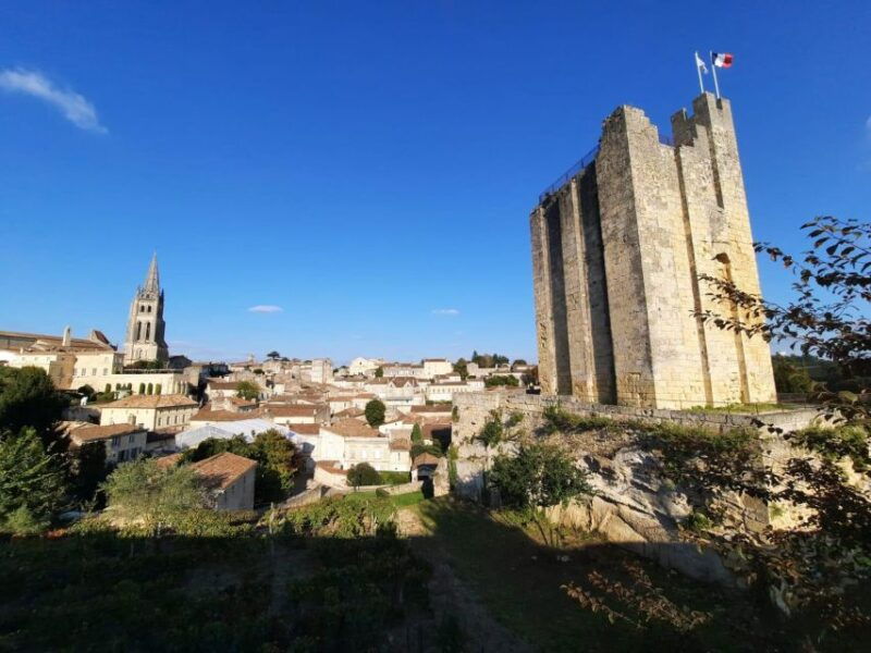 enjoy-saint-emilion-with-a-wine-tasting-in-5-hours