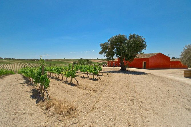 etna-wine-food-volcanic-week-grand-tour-private