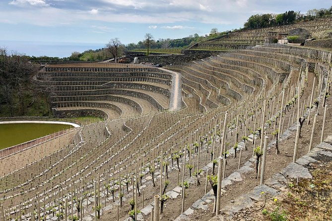 etna-wine-tour-experience