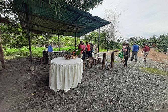 excursion-day-to-cocoa-farm-from-guayaquil