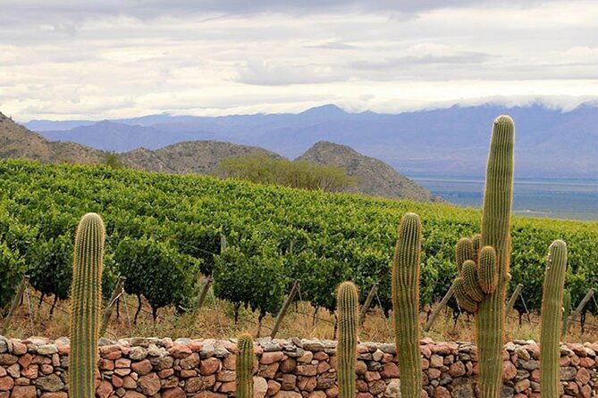 excursion-to-cafayate-wine-country-from-salta