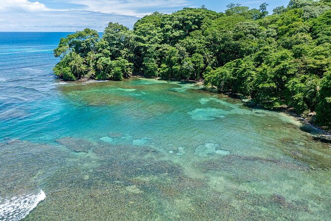 expedition-in-the-jungle-to-the-eco-abandoned-estate-of-punta-mona