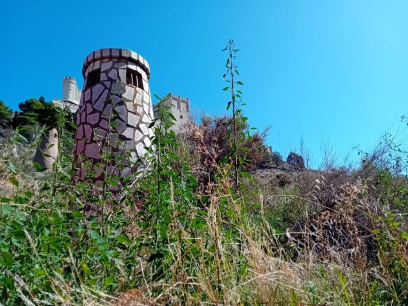explore-3-ribera-del-duero-wineries-with-madrid-pickup
