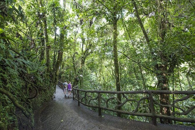 explore-arenal-one-day-tour-mistico-waterfal-lunch-volcano