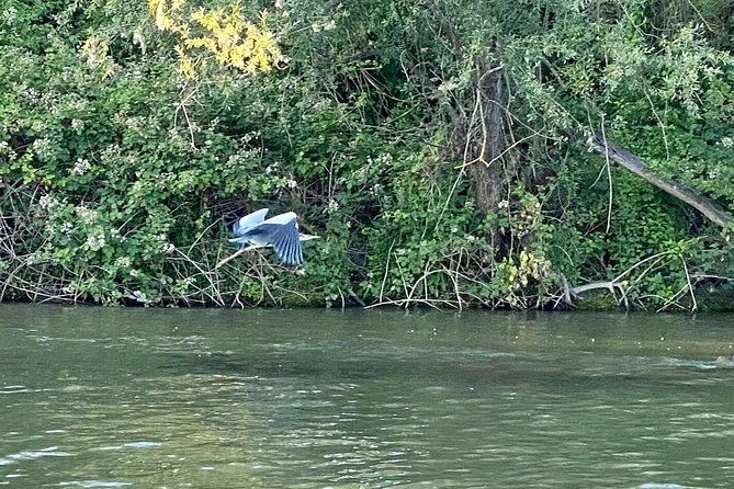 explore-bird-marine-wildlife-private-boat-tour-in-english