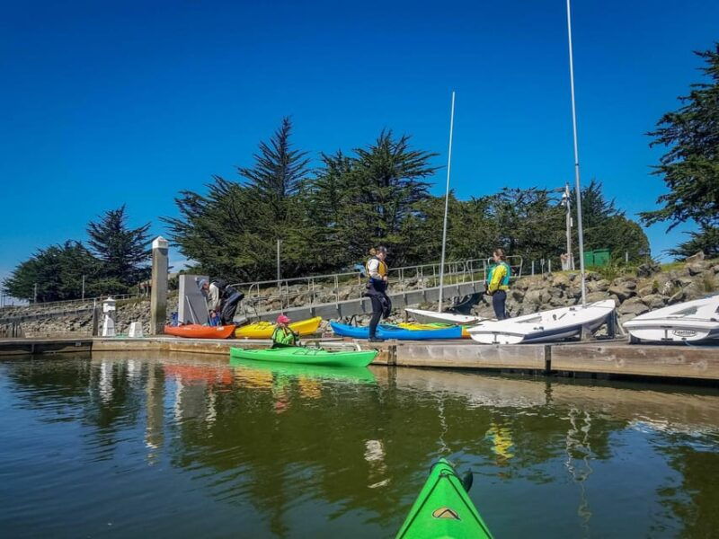 explore-humboldt-bay-by-kayak