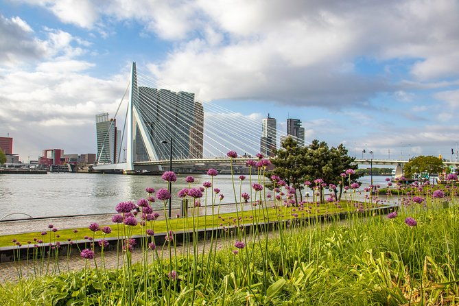 explore-the-instaworthy-spots-of-rotterdam-with-a-local