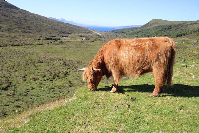 explore-the-isle-of-skye-in-a-full-day-tour