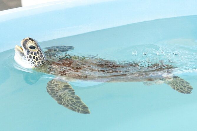 explore-wildlife-sanctuaries-on-the-wild-palm-beaches-tour