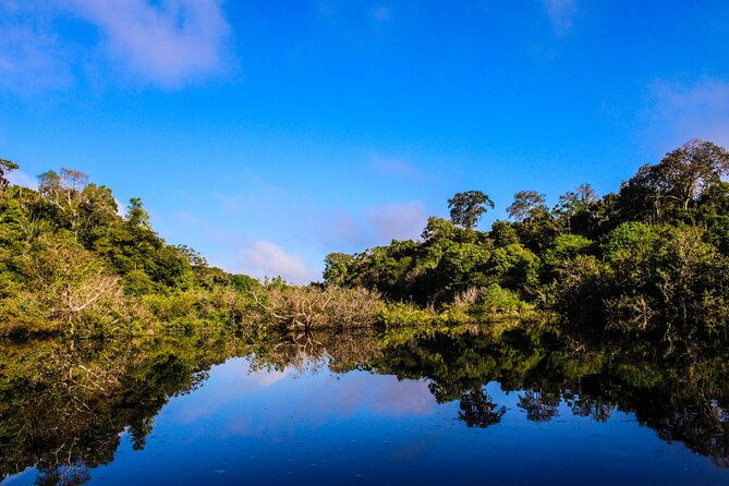 exploring-the-amazon-jungle-3d-2n-at-amazon-mamori-lodge
