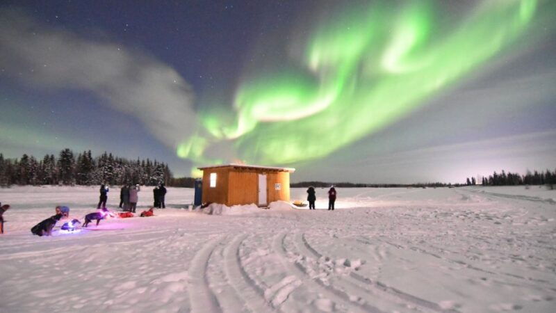fairbanks-dog-sledding-and-mushing-experience