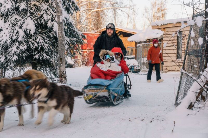 fairbanks-dog-sledding-tour-with-transportation