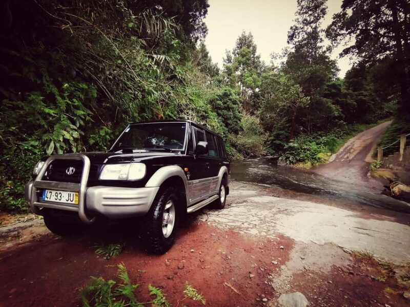 fire-lake-pineapple-tea-half-day-jeep-tour