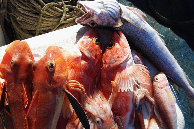 fishing-in-the-bay-of-sorrento-and-capri