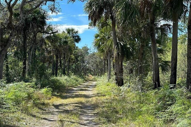florida-backcountry-overnight-camping-adventure