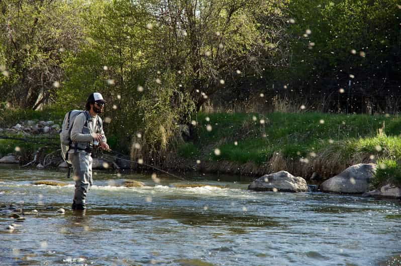 fly-fish-utah-blue-ribbon-trout-waters