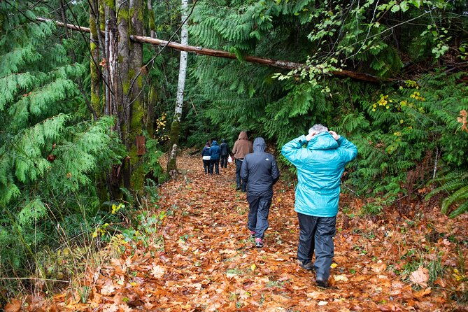 foraging-tour-of-edible-plants-and-mushrooms-in-brinnon