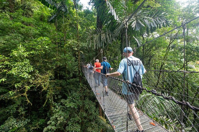 forest-rocks-hanging-bridges-volcano-hike