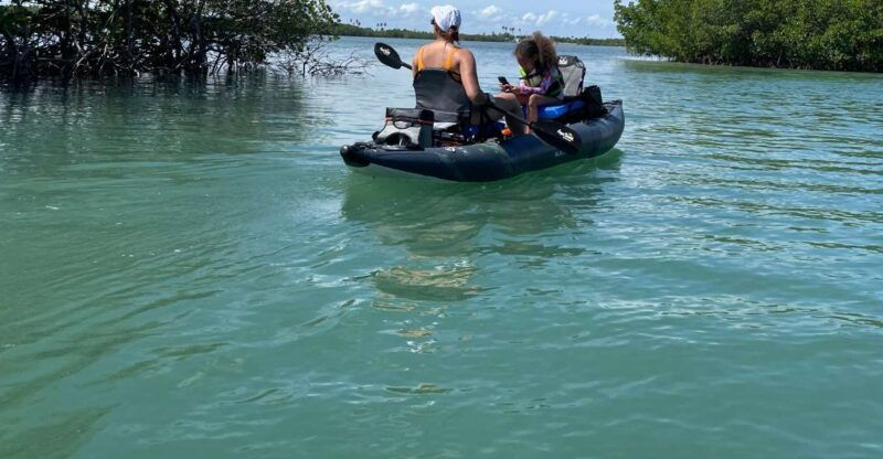 fort-pierce-6-hr-mangroves-coastal-rivers-wildlife-in-fl
