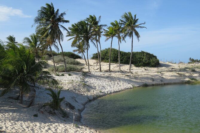 fortaleza-like-a-local-customized-private-tour