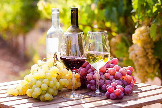 frankfurt-wine-tasting-tour-with-a-wine-expert