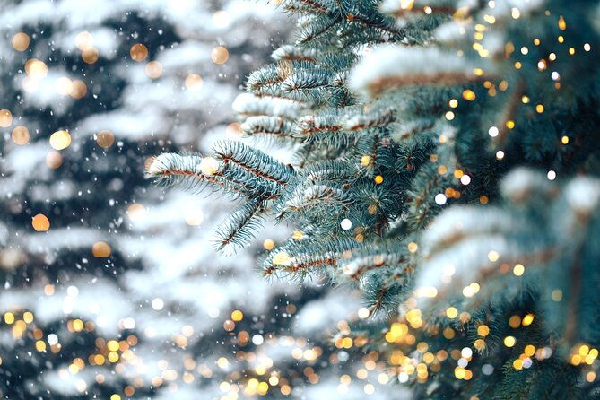 franklins-festive-lights-spectacular-a-christmas-wonderland-tour