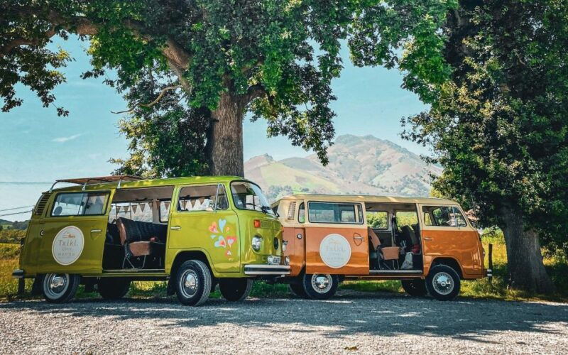 french-basque-country-private-day-tour-in-an-70s-vw-combi