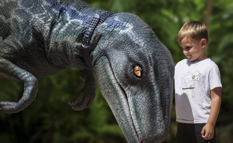 from-alcudia-dinosaurland-and-hams-caves-half-day-trip