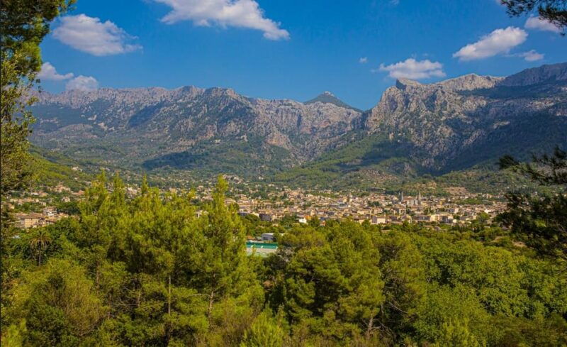 from-alcudia-soller-train-and-tram-half-day-tour