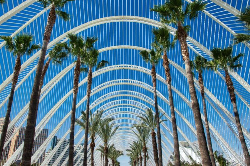from-alicante-valencia-full-day-guided-tour