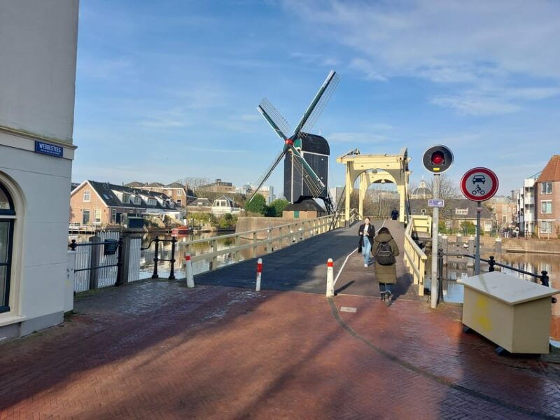 from-amsterdam-the-hague-and-leiden-private-half-day-tour
