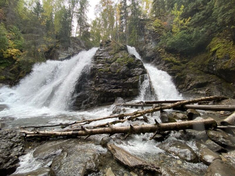 from-anchorage-valley-and-forest-hike-with-naturalist-guide