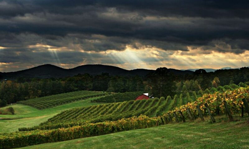 from-atlanta-north-georgia-wine-country-tour