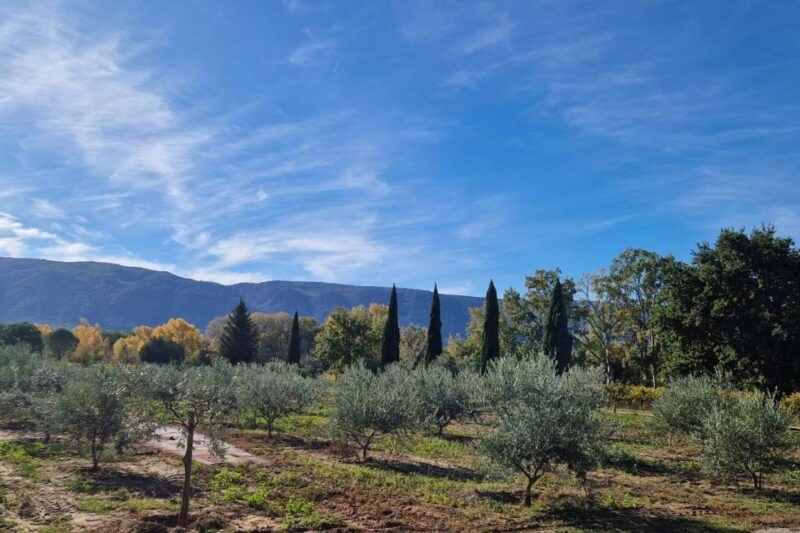 from-avignon-full-day-e-bike-tour-in-the-luberon-region