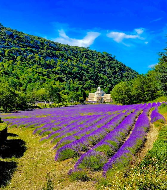 from-avignon-provence-highlights-full-day-tour