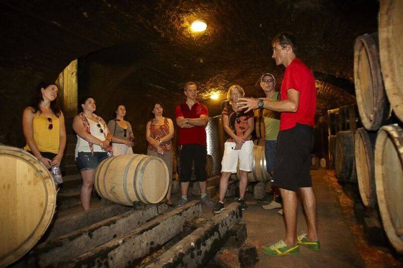 from-beaune-full-day-bicycle-and-wine-tour-in-burgundy