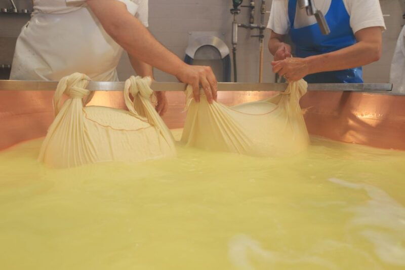 from-bologna-or-modena-parma-gastronomic-tour-with-lunch