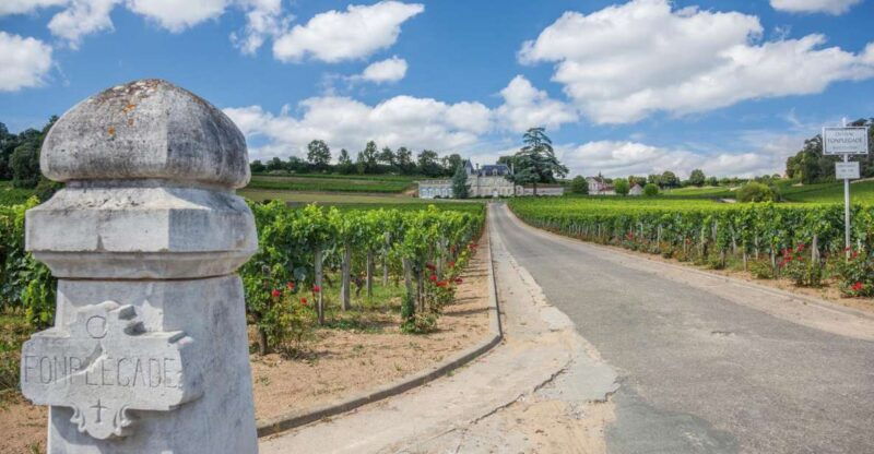 from-bordeaux-full-day-st-emilion-wine-tasting-tour