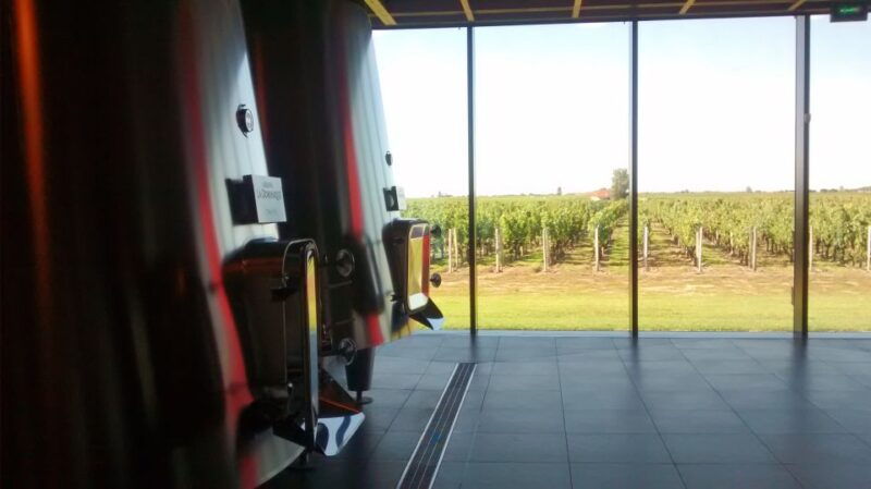 from-bordeaux-private-wine-tour-to-saint-emilion