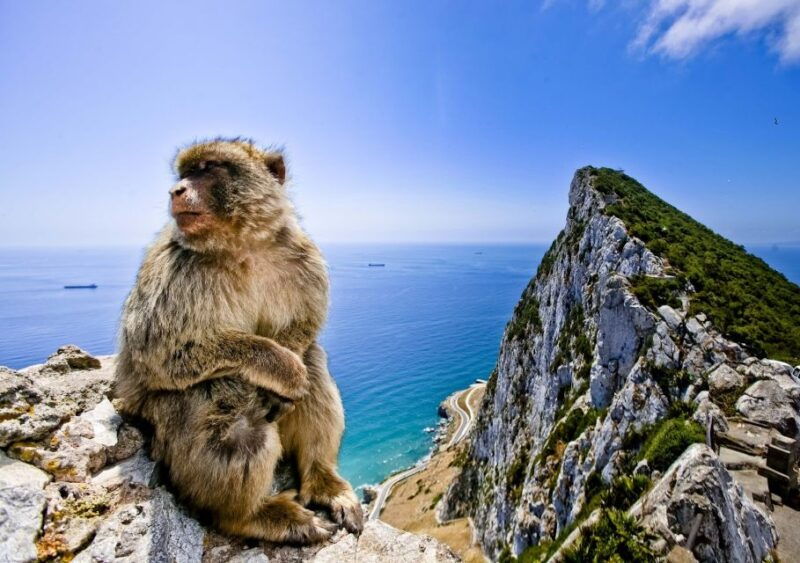 from-cadiz-private-day-trip-to-gibraltar-and-bolonia