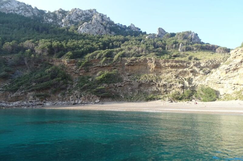 from-can-picafort-dolphin-watching-and-cave-boat-trip