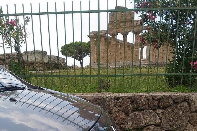 from-castellabate-paestum-temples-bufala-mozzarella-wine-tasting