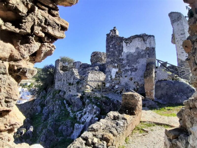 from-costa-del-sol-casares-private-tour