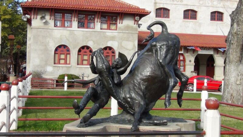 from-dallas-fort-worth-guided-day-tour