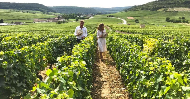 from-dijon-beaune-burgundy-region-winery-tour-with-lunch